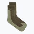Vyriškos kojinės icebreaker Merino Hike+ Medium Crew loden/lichen 2