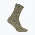 Slidinėjimo kojinės Icebreaker Merino Ski Lodge Crew loden/lichen/chalk