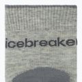 Moteriškos kojinės icebreaker Merino Hike+ Light Crew 2 pairs blizzar hthr/alloy 3