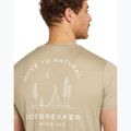 Vyriški marškinėliai icebreaker Merino 150 Tech Lite Peaceful Pass Tee flagstone 6