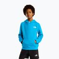 Vaikiškas džemperis The North Face Teen Box Nse Regular Hoodie meridian blue