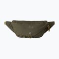 Juosmes krepšys The North Face Glen Canyon Lumbar cedar/new taupe green