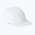 Vyriška kepurė su snapeliu The North Face GTX Ballcap pearl stone