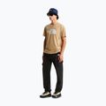 Vyriški marškinėliai The North Face Evolution Half Dome khaki stone 2