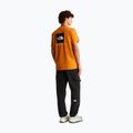Vyriški marškinėliai The North Face Evolution Box NSE dust orange 2