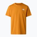 Vyriški marškinėliai The North Face Evolution Box NSE dust orange 5