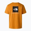 Vyriški marškinėliai The North Face Evolution Box NSE dust orange 6