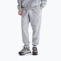 Vyriškos kelnės The North Face Evolution Simple Dome Regular Jogger tnf pale grey h