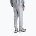 Vyriškos kelnės The North Face Evolution Simple Dome Regular Jogger tnf pale grey h 3