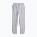 Vyriškos kelnės The North Face Evolution Simple Dome Regular Jogger tnf pale grey h 5
