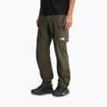 Vyriškos žygio kelnės The North Face Exploration Cargo taupe green