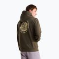 Vyriškas džemperis The North Face Monte Regular Hoodie Graphic new taupe green 3