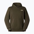 Vyriškas džemperis The North Face Monte Regular Hoodie Graphic new taupe green 4