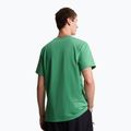 Vyriški marškinėliai The North Face Evolution Simple Dome dimmed algae 3