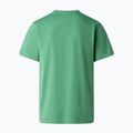Vyriški marškinėliai The North Face Evolution Simple Dome dimmed algae 5