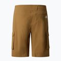 Vyriški žygių šortai The North Face Exploration Cargo Shorts utility brown 5