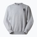 Džemperis The North Face Celebration Relaxed Crew Graphic tnf light grey heather