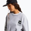 Džemperis The North Face Celebration Relaxed Crew Graphic tnf light grey heather 10