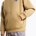 The North Face Mountain Celebration Relaxed Hoodie khaki stone    9