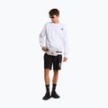 Vyriški žygių šortai The North Face Box Nse Light Regular Shorts black 2