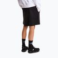 Vyriški žygių šortai The North Face Box Nse Light Regular Shorts black 3