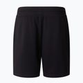 Vyriški žygių šortai The North Face Box Nse Light Regular Shorts black 5