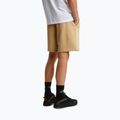 Vyriški žygių šortai The North Face Box Nse Light Regular Shorts khaki stone 3