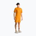 Vyriški marškinėliai The North Face 24/7 Box Nse dust orange 2