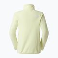 Moteriškas džemperis The North Face Glacier Fleece 1/4 Zip 6