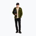 Vyriška softshell striukė The North Face Quest Mono woodland green 2