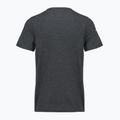 Vyriški marškinėliai Smartwool Lunar Bear Active SS Graphic Tee charcoal heather 2