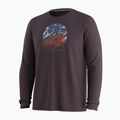Vyriški ilgomis rankovėmis marškinėliai Smartwool First Chair Pursuit Active LS mink heather 3