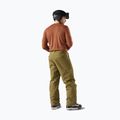 Vyriškas termoaktyvus džemperis Smartwool Merino 250 Baselayer Crew Boxed burnt sienna 2