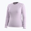 Moteriškas termo džemperis Smartwool Merino 250 Baselayer Crew Boxed lavender sky heather 3