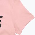 Moteriški marškinėliai Vans Flying V Crew Tee flying v misty mauve 4