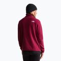 Moteriškas flisinis džemperis The North Face Glacier Fleece 1/4 Zip burgundy crush 3