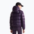 Moteriška pūsta striukė Kurtka The North Face Hydrenalite Down Hoodie endless dusk 3