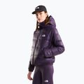 Moteriška pūsta striukė Kurtka The North Face Hydrenalite Down Hoodie endless dusk 4
