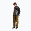 Vyriškas flisinis džemperis The North Face Yumiori Full Zip smoked pearl/tn 2