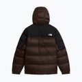 Vyriška pūsta striukė The North Face Diablo Down 2.0 Hoodie dark chestnut b 6