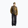 Vyriškas flisinis džemperis The North Face Yumiori Full Zip new taupe green 2