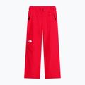 Moteriškos slidinėjimo kelnės The North Face Descendit Regular elevation red 4