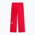 Moteriškos slidinėjimo kelnės The North Face Descendit Regular elevation red 5