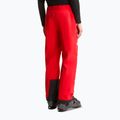 Vyriškos slidinėjimo kelnės The North Face Chakal elevation red 3