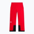 Vyriškos slidinėjimo kelnės The North Face Chakal elevation red 5