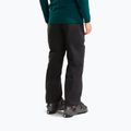 Vyriškos slidinėjimo kelnės The North Face Chakal tnf black 3