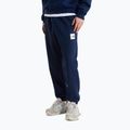 Vyriškos kelnės The North Face Evo Box Half Dome Regular Tappered summit navy 3