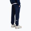 Vyriškos kelnės The North Face Evo Box Half Dome Regular Tappered summit navy 4