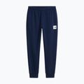 Vyriškos kelnės The North Face Evo Box Half Dome Regular Tappered summit navy 5