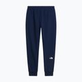 Vyriškos kelnės The North Face Evo Box Half Dome Regular Tappered summit navy 6